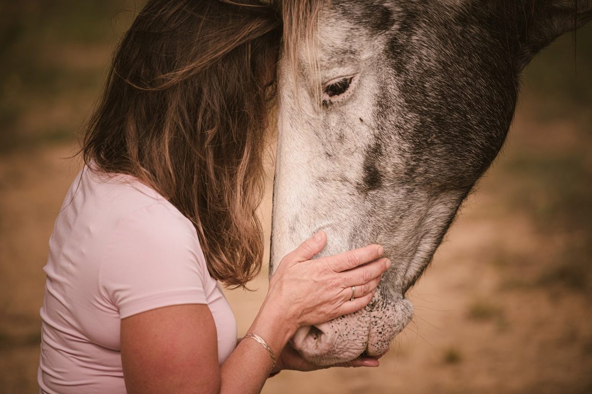 Gast in verbinding met een paard