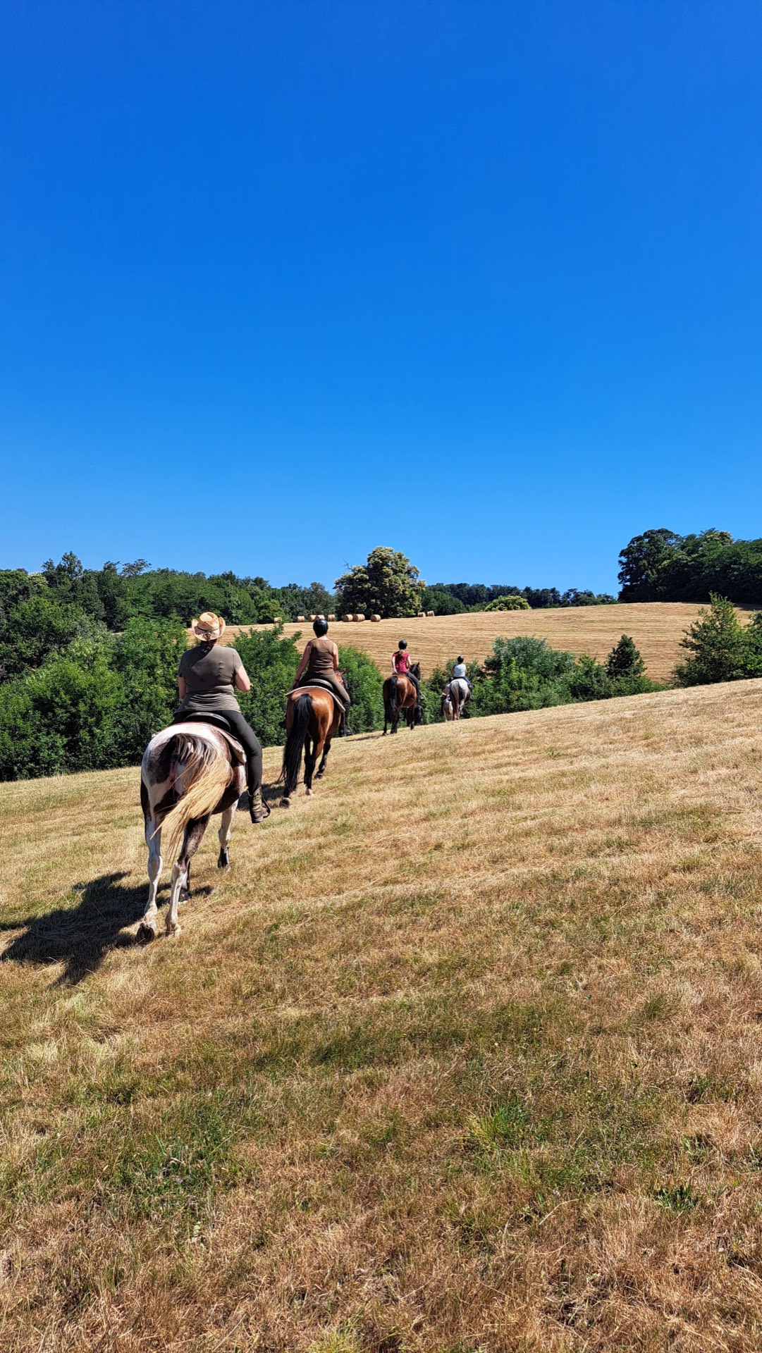 Buitenrit te paard door de velden